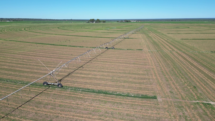 0 Bedroom Property for Sale in Douglas Rural Northern Cape